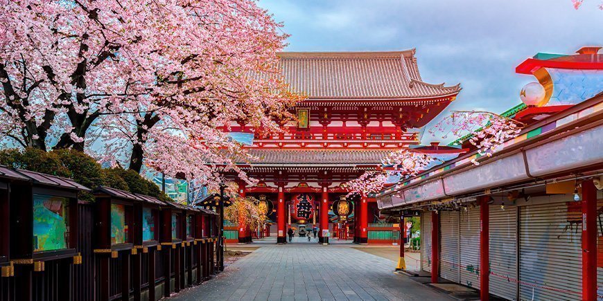 Sakura Sensoji-ji-temppelissä Tokiossa