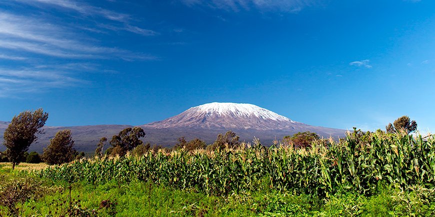 Kilimanjaro