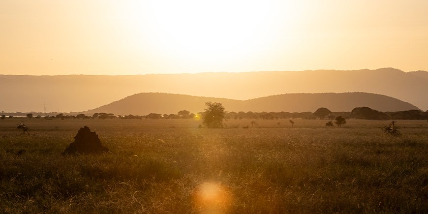 Auringonlasku Tarangiren kansallispuistossa Tansaniassa