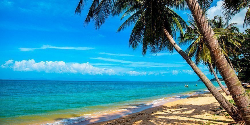 Palmu Mae Nam Beachilla Koh Samuilla Thaimaassa.