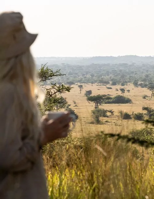 Luonto ja safari Pohjois-Tansaniassa