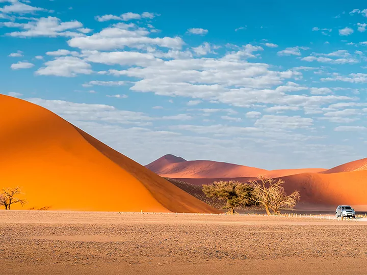 Namibia, Kapkaupunki & safari Krugerissa